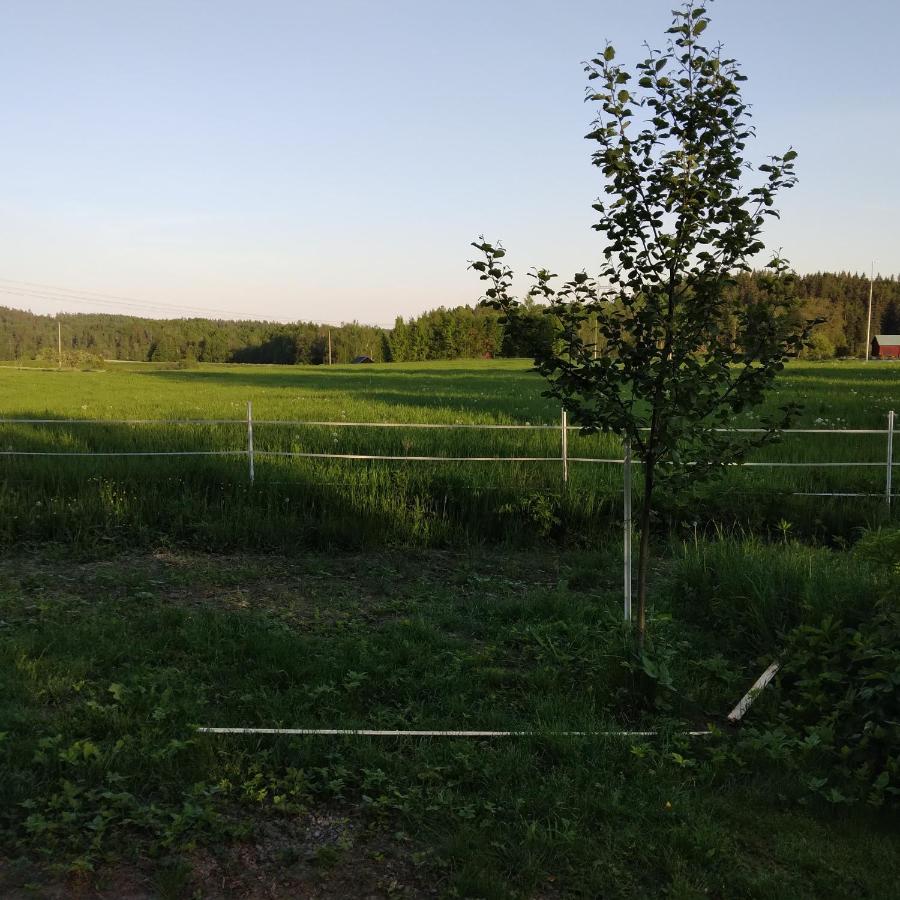Countrycabin Bergslagen Stuga Ramsberg Exterior foto